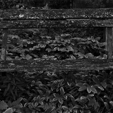 Cemetery Bench by Clay Fisher