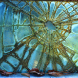 Glass Web by Jim Owens