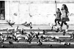 2018-Exhibition-HollingsworthCarolyn_Route-of-the-Pigeons_5