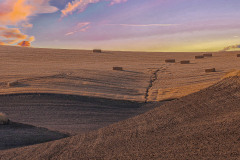 LiebermanJoel_ThePalouse