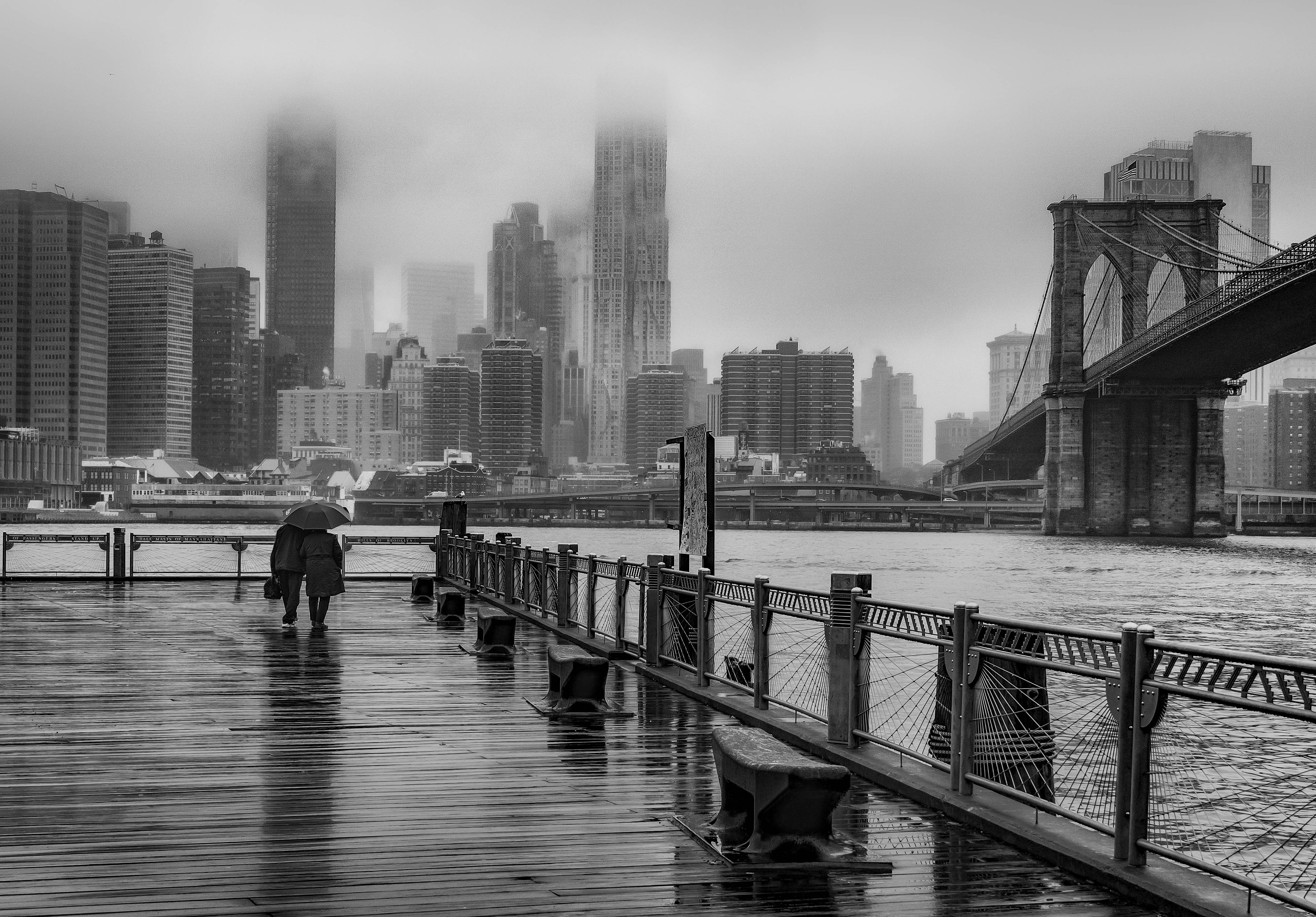 Honorable Mention: Ed Baer "New York in the Mist"