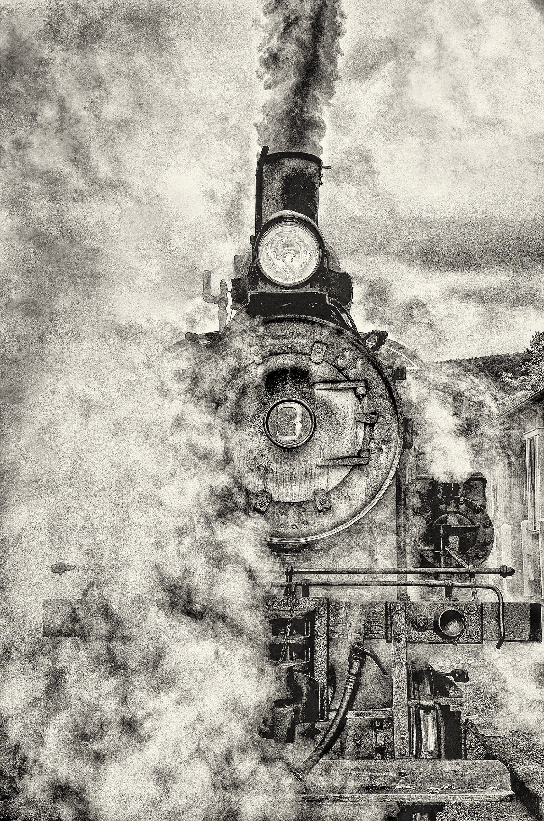 Member's Choice Award:  Jennifer Cardinell "Last of the Climax Steam Engines"