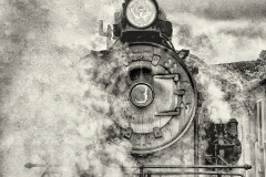 Member's Choice Award:  Jennifer Cardinell "Last of the Climax Steam Engines"